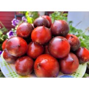 Помідор Небеса орегону, 0,1 г НК ЕЛІТ